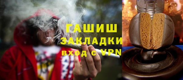 гашик Алексин