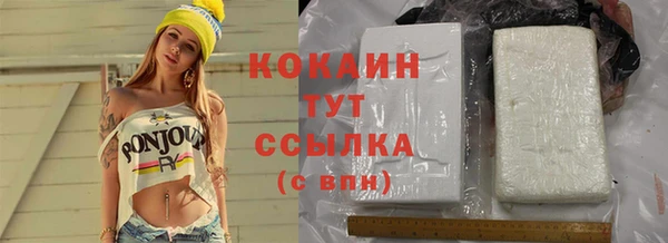 гашик Алексин