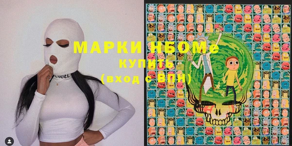 гашик Алексин